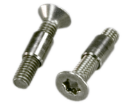 EX Transfer Box Bolts with Threaded Bushes (pair)