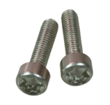 TX20 screws for clamp